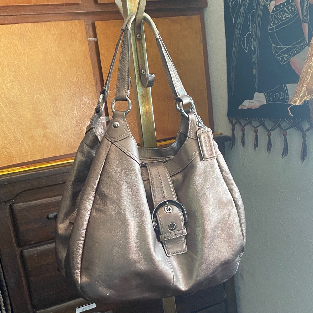 Coach Leather Elegant Metallic Shoulder Bag